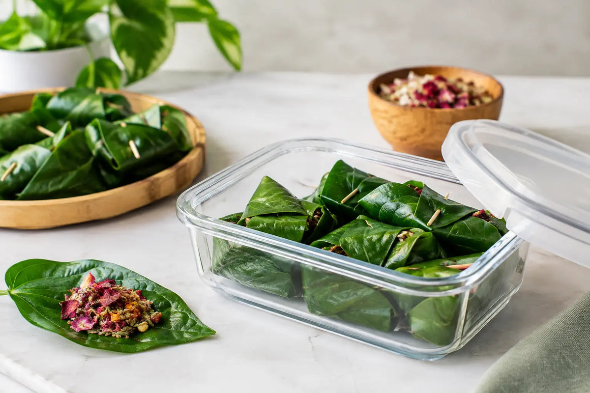 Paan Storage FAQ: Keep Every Bite Fresh